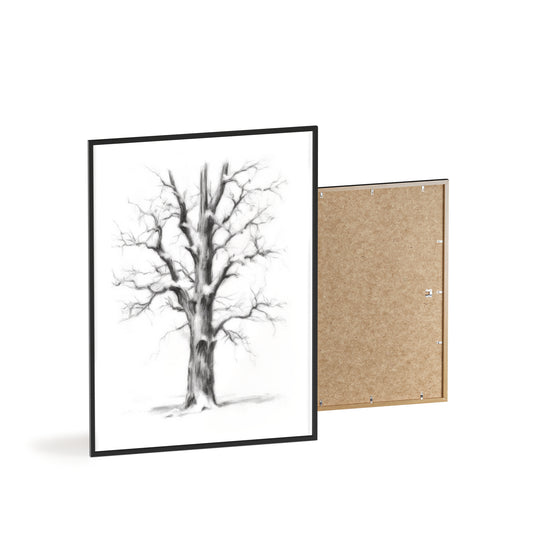 Posters with Wooden Frame